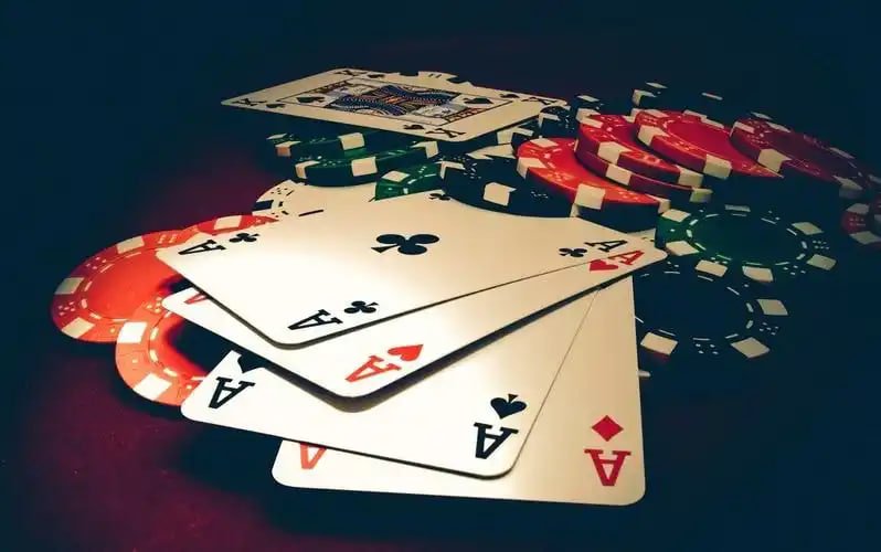 73 bet app
